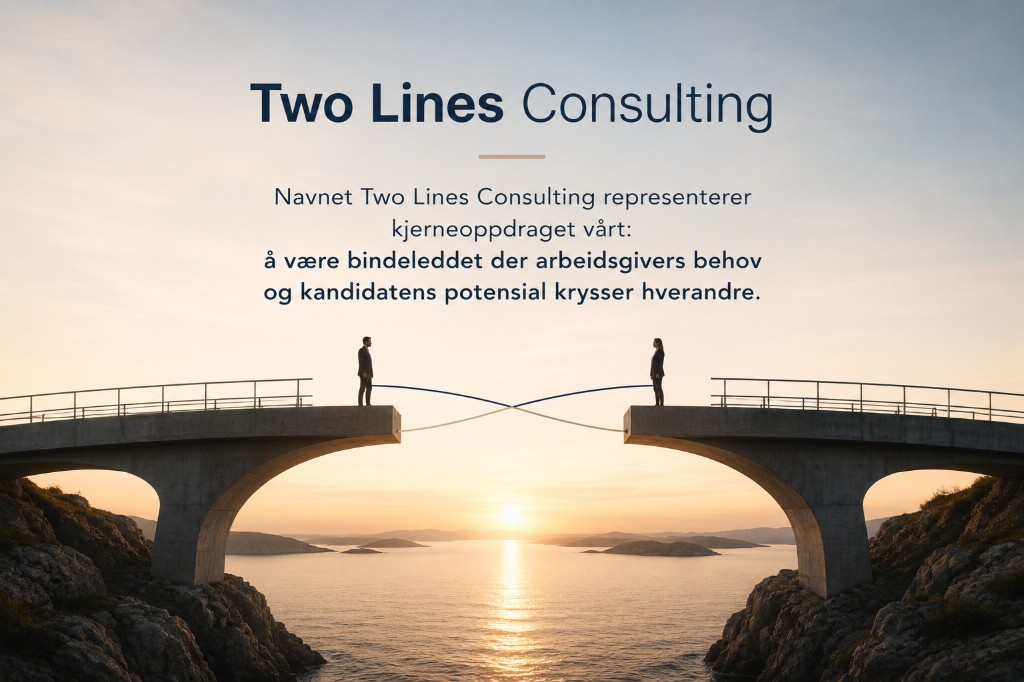 Two Lines Consulting — to personer på hver sin broseksjon forbundet av kryssende linjer ved solnedgang